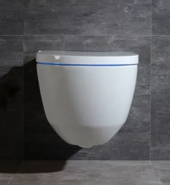 Cruze Wall Hung Smart Toilet + Compact Top/Front Flush Toilet Frame With Chrome Flush - Round Buttons -Victorian Plumbing Shop cz881wh l0