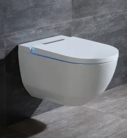 Cruze Wall Hung Smart Toilet + Compact Top/Front Flush Toilet Frame With Chrome Flush - Round Buttons -Victorian Plumbing Shop cz881wh l4