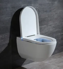 Cruze Wall Hung Smart Toilet + Compact Top/Front Flush Toilet Frame With Chrome Flush - Round Buttons -Victorian Plumbing Shop cz881wh l8