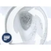 Grohe Euro Rimless Close Coupled Toilet With Soft Close Seat (Bottom Inlet) -Victorian Plumbing Shop eurccwc1 d3