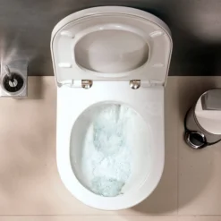 Hansgrohe GladeLake S Rimless Close Coupled Toilet With AquaChannel Flush