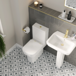 Potenza Short Projection Rimless Toilet With Soft Close Seat -Victorian Plumbing Shop ptz4pc d2
