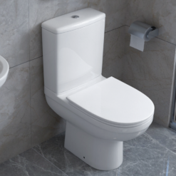 Ringo Rimless Modern Toilet -Victorian Plumbing Shop rgcct d1a