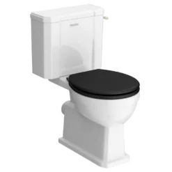 Trafalgar Close Coupled Toilet With Brushed Brass Flush - Excludes Seat -Victorian Plumbing Shop tcct1bb d2