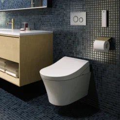Toto Washlet RG Lite Rimless Wall Hung Shower Toilet & Remote Control