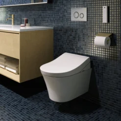 Toto Washlet RG Rimless Wall Hung Shower Toilet & Remote Control 14 Toto Washlet RG Rimless Wall Hung Shower Toilet & Remote Control -Victorian Plumbing Shop ttwhwcrg d2